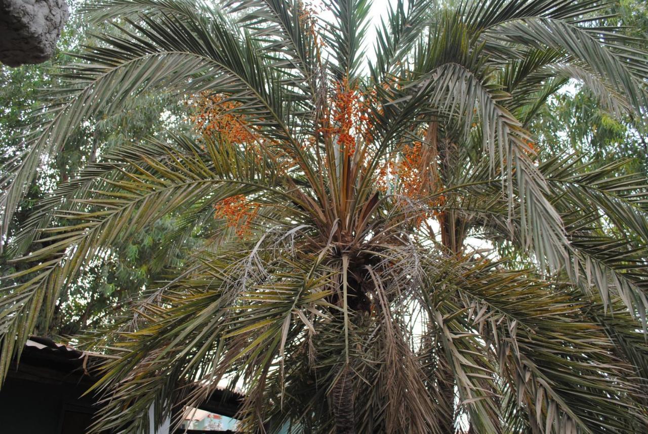 Rainbow Beach Resort Sanyang Dış mekan fotoğraf